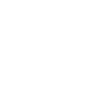 nabi zade