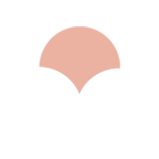 nabi zade